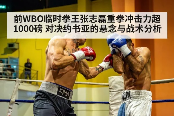 前WBO临时拳王张志磊重拳冲击力超1000磅 对决约书亚的悬念与战术分析