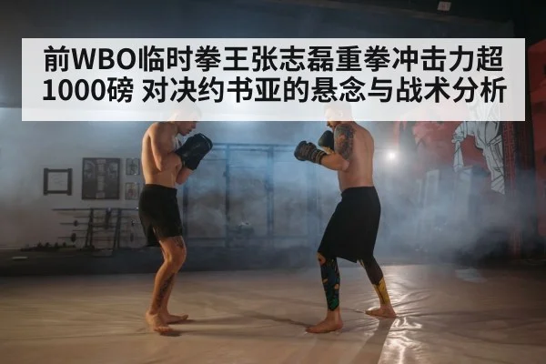 boxing fighter stance