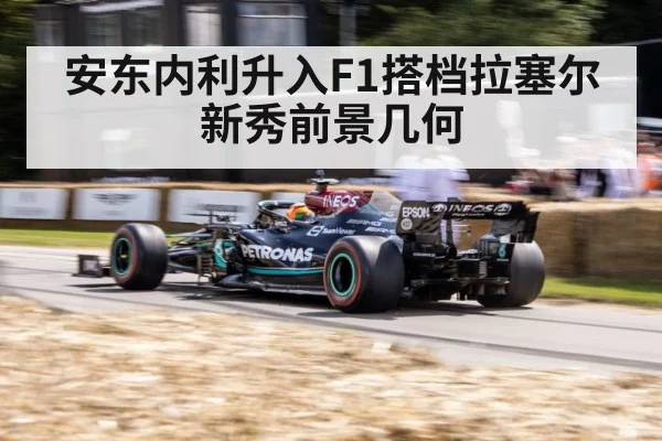 安东内利升入F1搭档拉塞尔 新秀前景几何